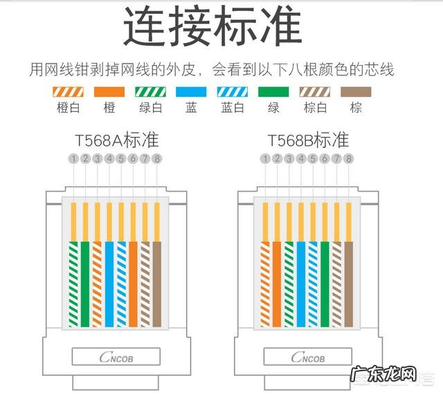 四芯网线和八芯网线的区别是什么?
