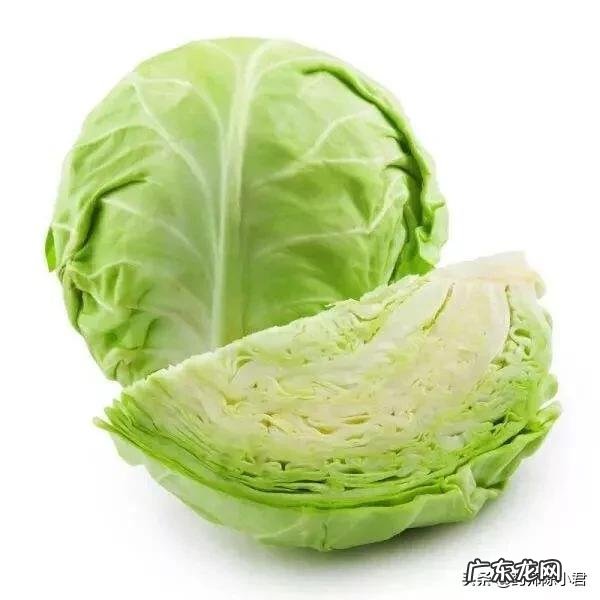 幽门螺杆菌感染,最怕的4种蔬菜是什么?