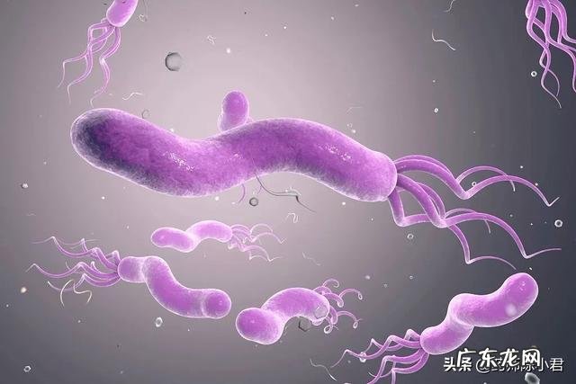 幽门螺杆菌感染,最怕的4种蔬菜是什么?