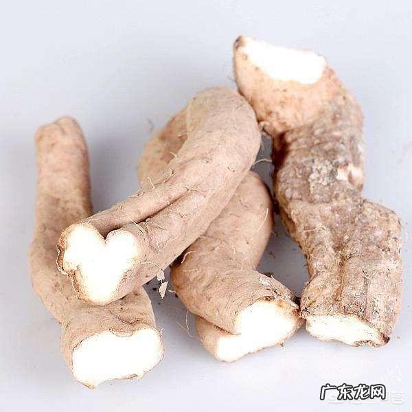 野生的山药炖什么最好吃?