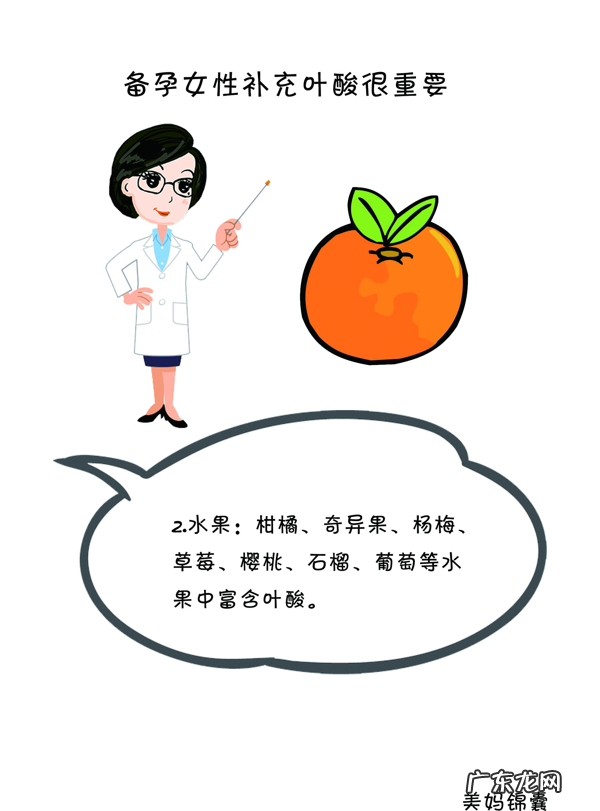 什么食物含叶酸比较多 什么食物含叶酸比较高