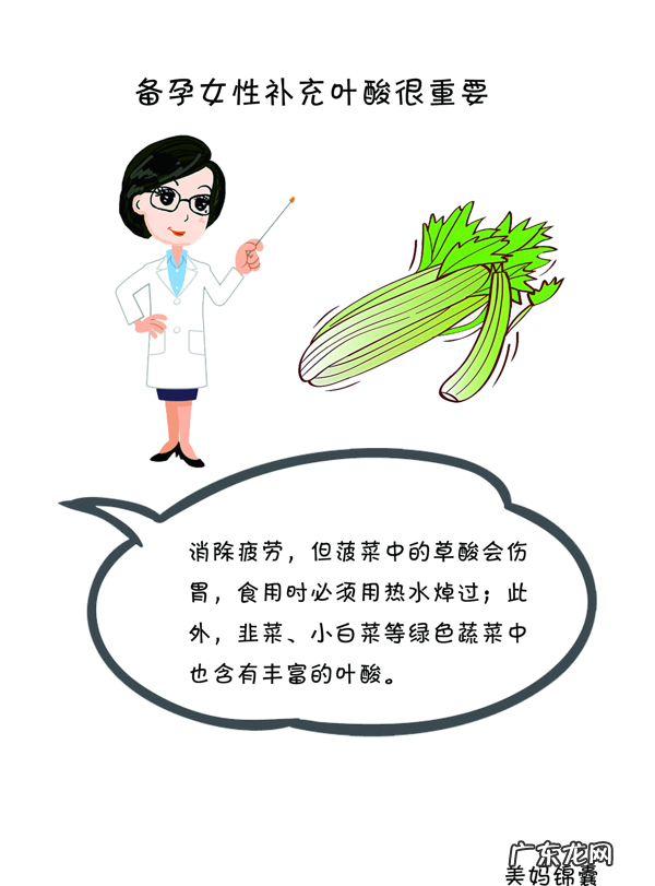 什么食物含叶酸比较多 什么食物含叶酸比较高