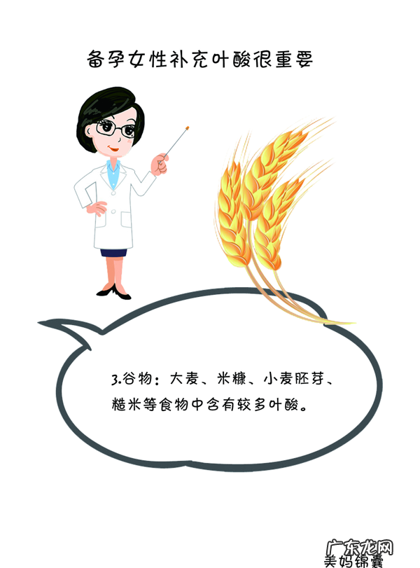 什么食物含叶酸比较多 什么食物含叶酸比较高