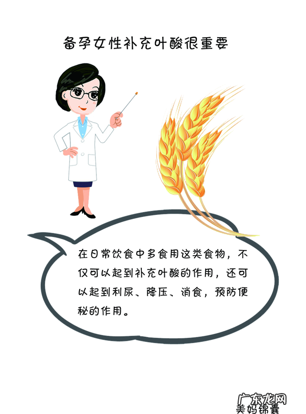 什么食物含叶酸比较多 什么食物含叶酸比较高