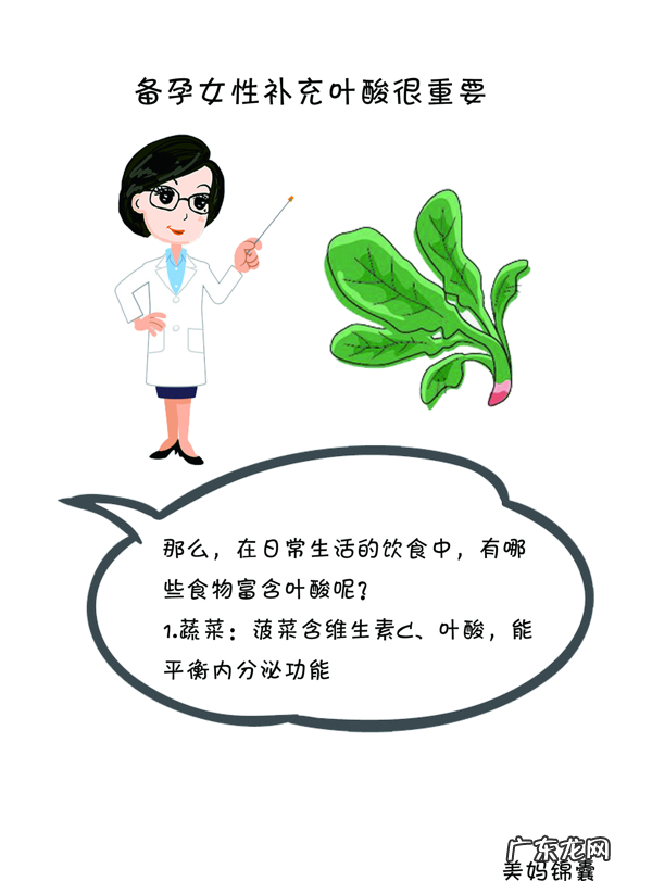 什么食物含叶酸比较多 什么食物含叶酸比较高