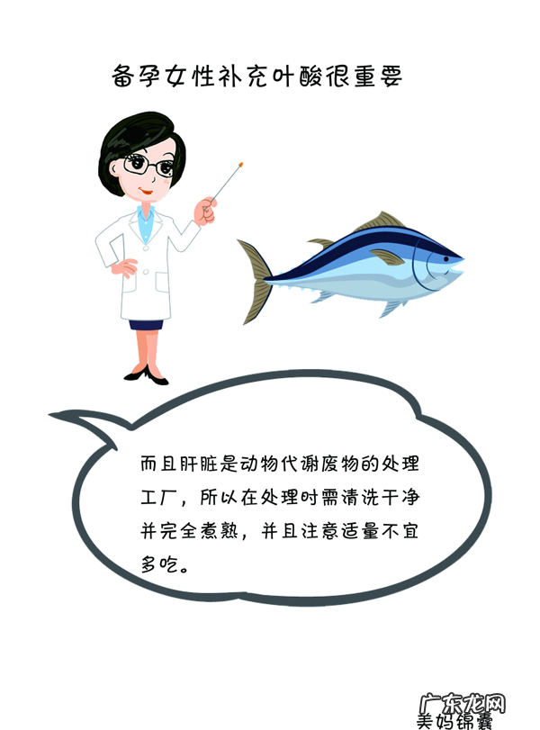 什么食物含叶酸比较多 什么食物含叶酸比较高