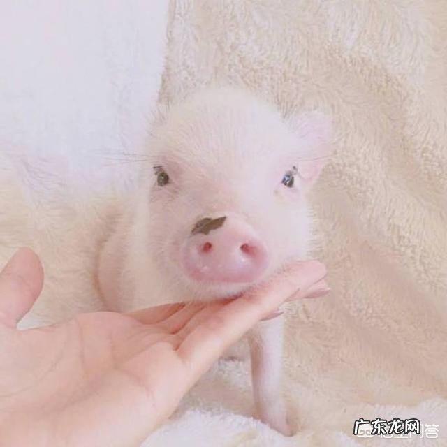 大学期间谈恋爱好吗?