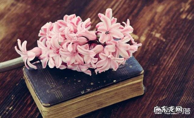 所谓美文，是应该体现真情实感有灵魂，还是体现华词堆砌一空壳，你怎么看？