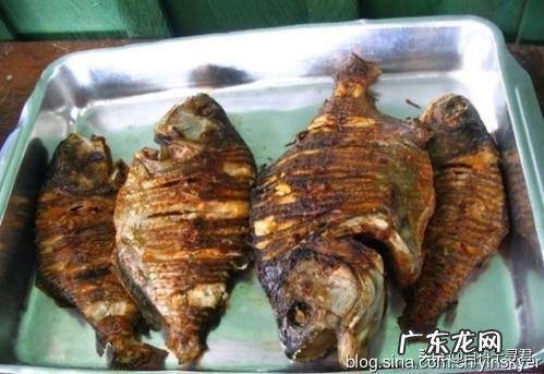 食人鱼有天敌吗?