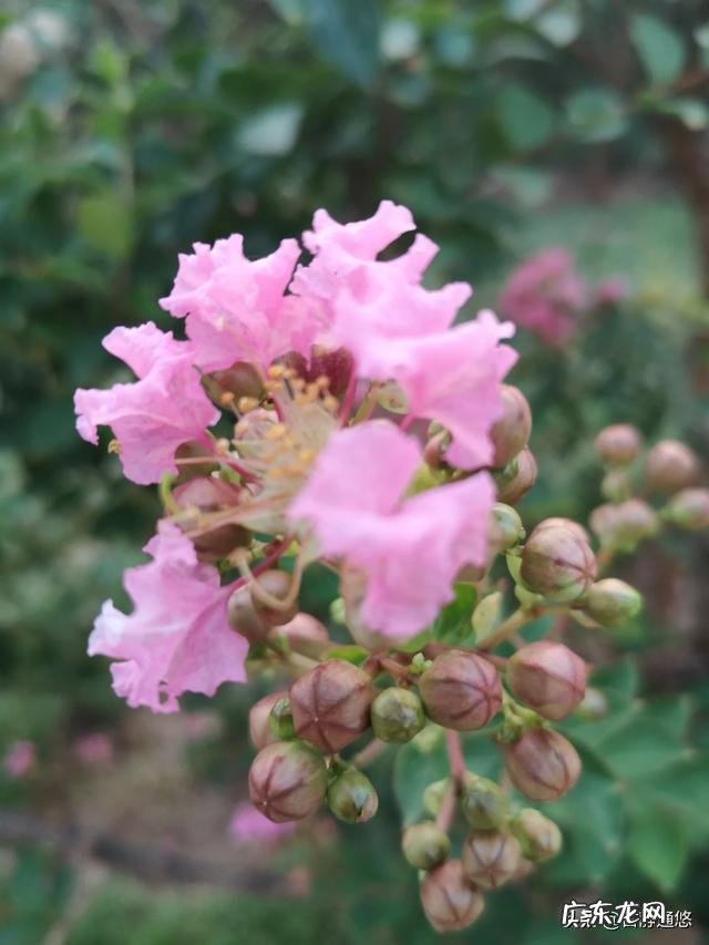 你喜欢美文吗？她对你的生活，有哪些影响？