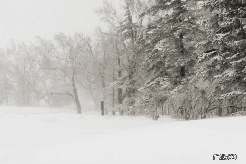 2017年新版林海雪原 林海雪原游戏解说