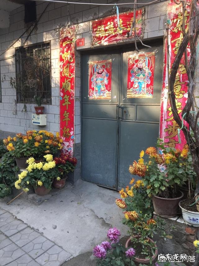 开封这个城市给人一种什么样的感觉？