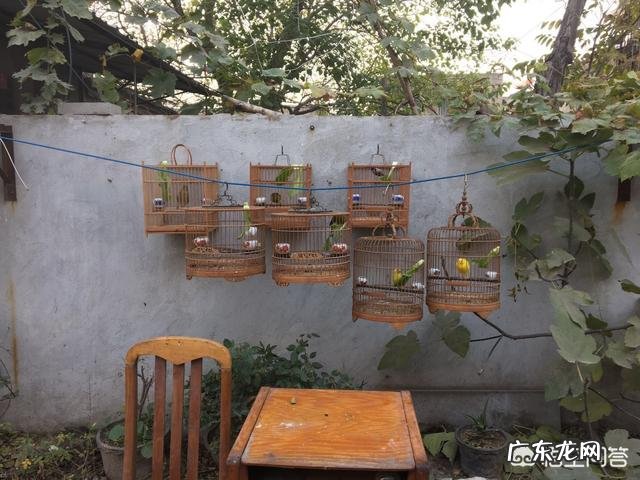 开封这个城市给人一种什么样的感觉？