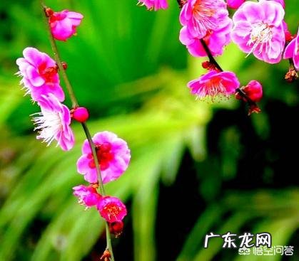 你认为最震撼人心的励志美文是哪一种?