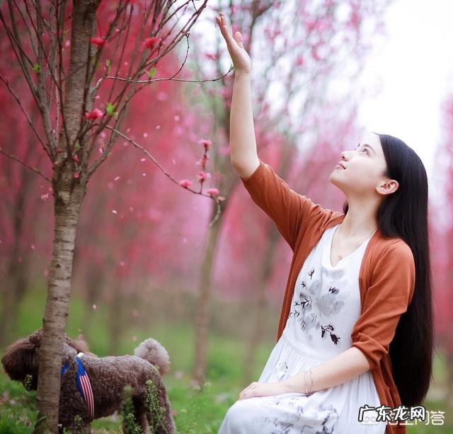 你认为最震撼人心的励志美文是哪一种?