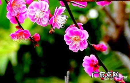 你认为最震撼人心的励志美文是哪一种?