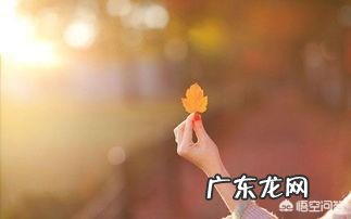 相爱的人会因为什么原因不能在一起?