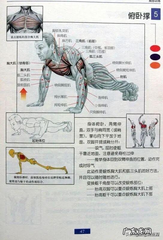 在健身前,你觉得需不需要学习健身方面的基础知识,类似于指南之类的?为什么?