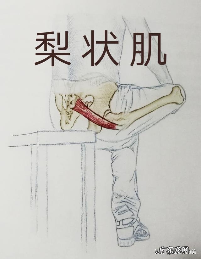 在健身前,你觉得需不需要学习健身方面的基础知识,类似于指南之类的?为什么?