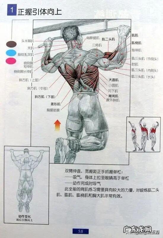 在健身前,你觉得需不需要学习健身方面的基础知识,类似于指南之类的?为什么?
