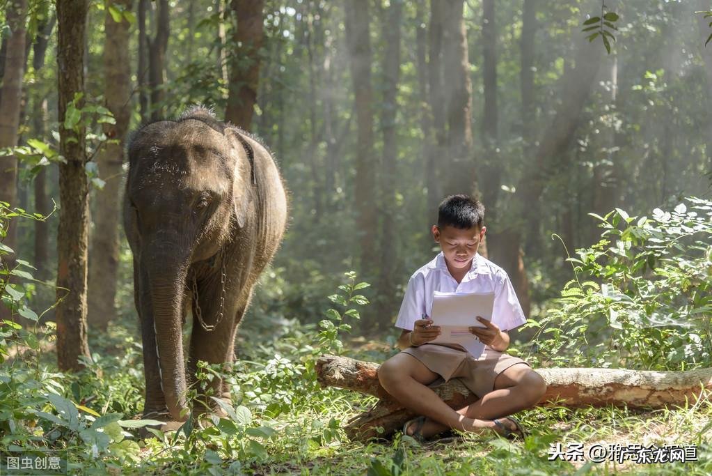 以青春为主题的演讲稿300字 什么是青春演讲稿
