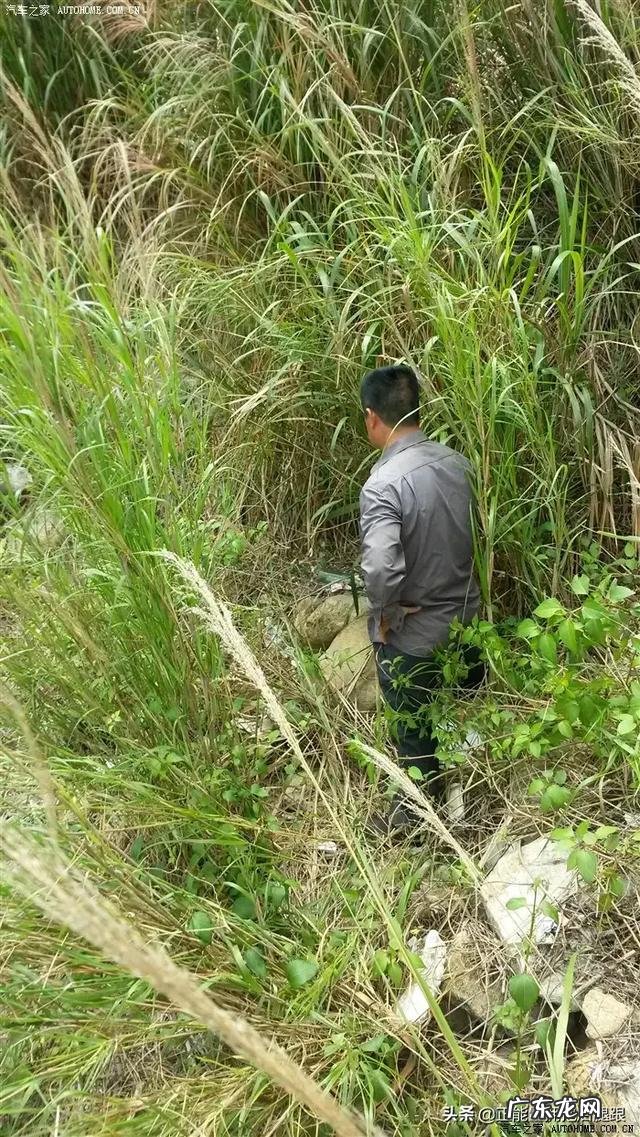 捕蛇人捉蛇多年，最终被蛇追杀5年杀死，是故事还是真实事件？