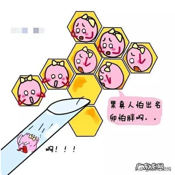 她 如果你的小孩是试管婴儿，你会告诉他实情吗？