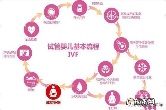 她 如果你的小孩是试管婴儿，你会告诉他实情吗？