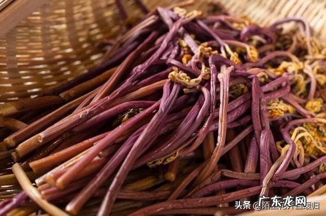 现在农村山上蕨菜很多,有人说蕨菜不能吃,会致癌,这是不是真的?