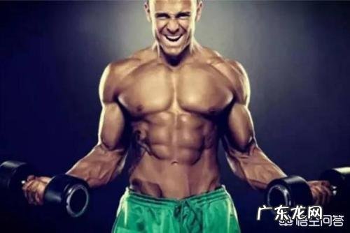 怎么快速锻炼自己的肌肉群?