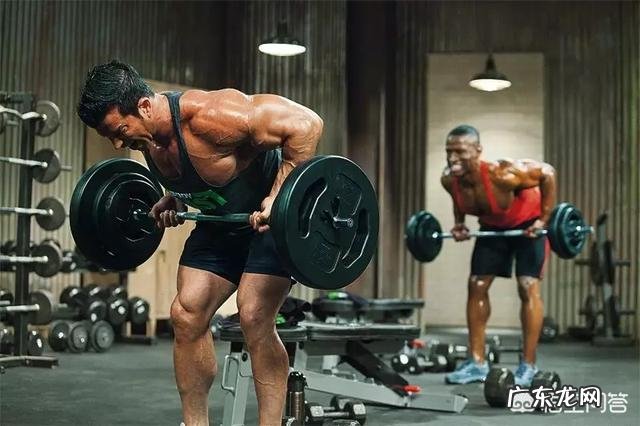 怎么快速锻炼自己的肌肉群?