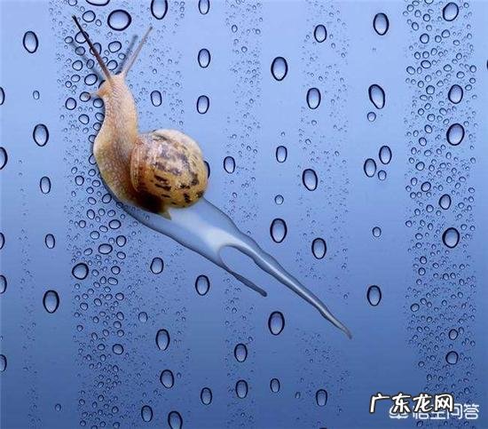 除了美白针，还有哪些美白方法？