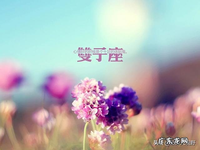 双子座和天秤座在一起合适吗?