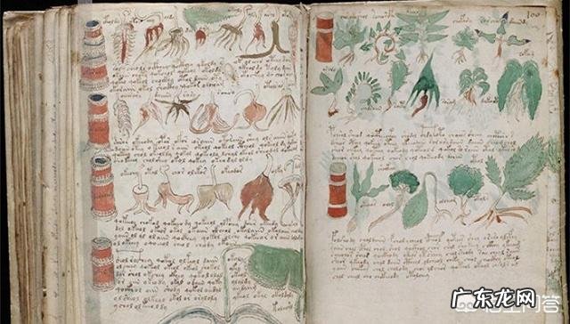 历史上有哪些未解之谜，让人事后想想是最为匪夷所思的？