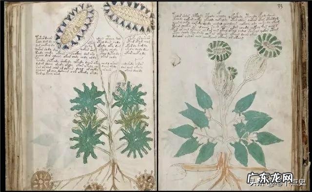 历史上有哪些未解之谜,让人事后想想是最为匪夷所思的?