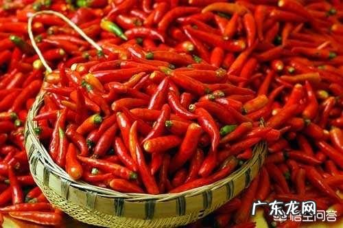 你觉得中国哪些省的美女比较多?有何依据?