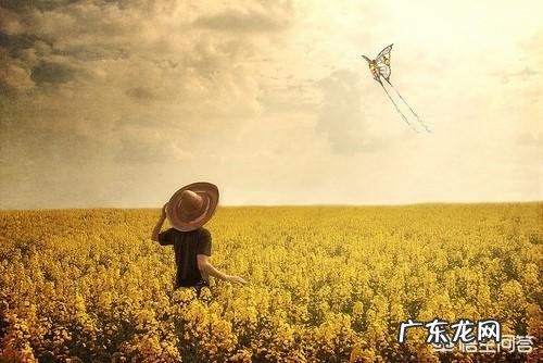 有哪些看了想流泪的伤感语句?