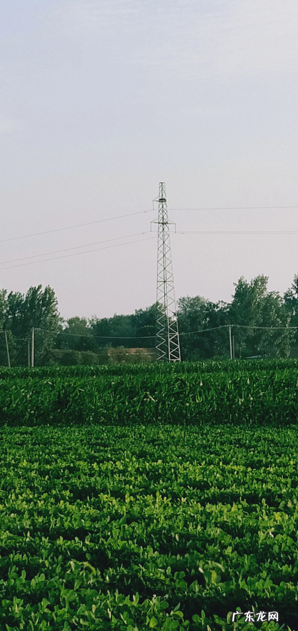 200字作文大全摘抄 作文200字大全 简单