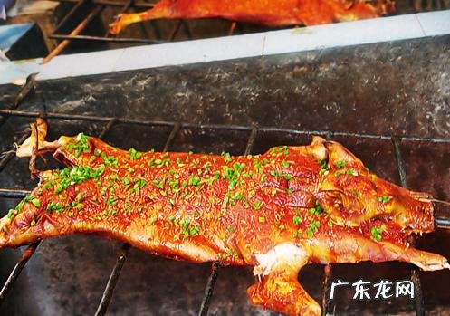 广西有哪些好吃的土特产?