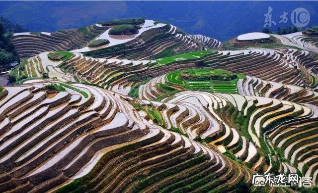 广西有哪些好吃的土特产?