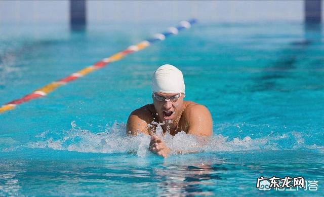 蝶泳蛙泳自由泳哪个好学?