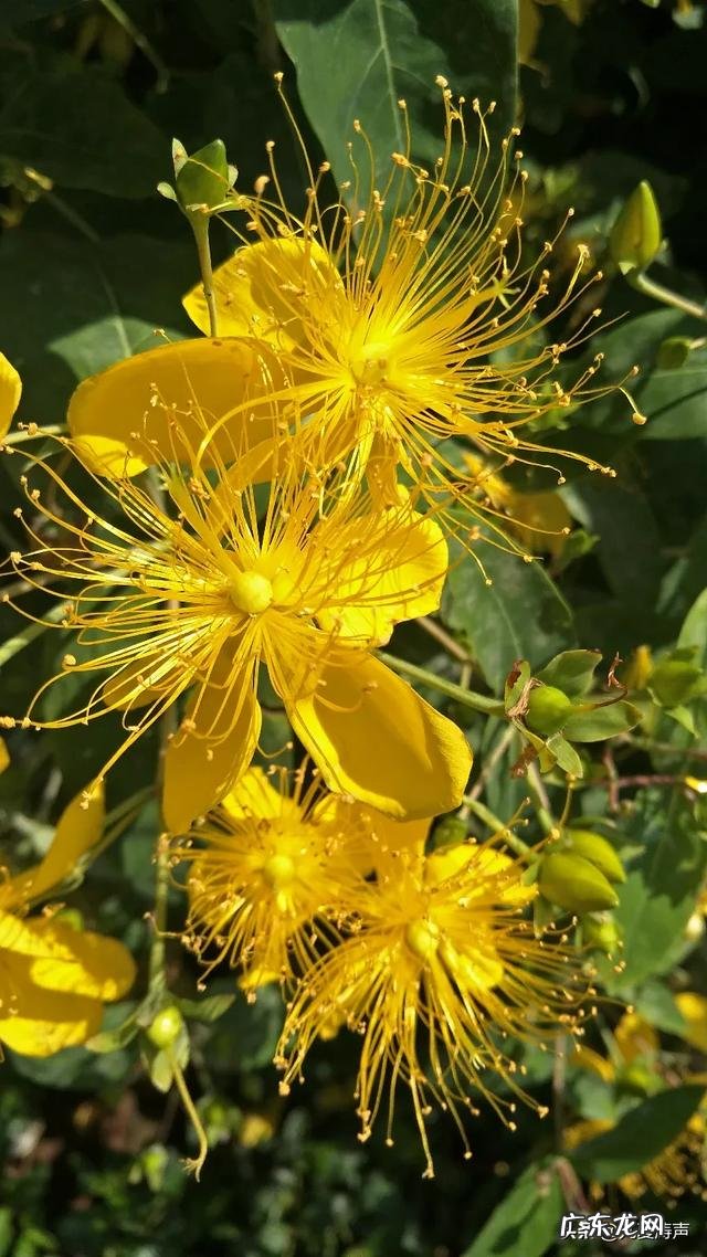 杨振宁和翁帆已经走过11年了,这触动你相信真爱了吗?