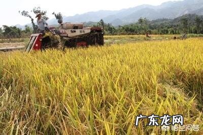 农村俗语“六月立秋快加油,七月立秋慢悠悠”是什么意思?今年立秋是哪一天?