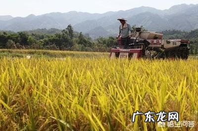 农村俗语“六月立秋快加油,七月立秋慢悠悠”是什么意思?今年立秋是哪一天?