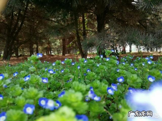 有什么关于春分的文章吗？