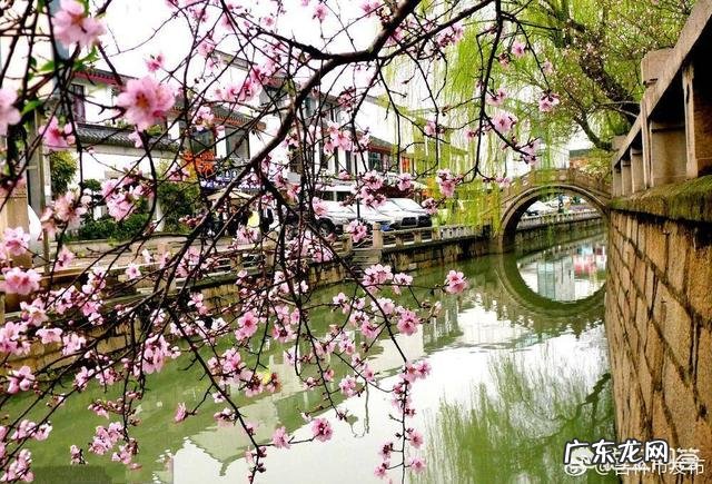 有什么关于春分的文章吗？