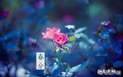 有什么关于春分的文章吗？