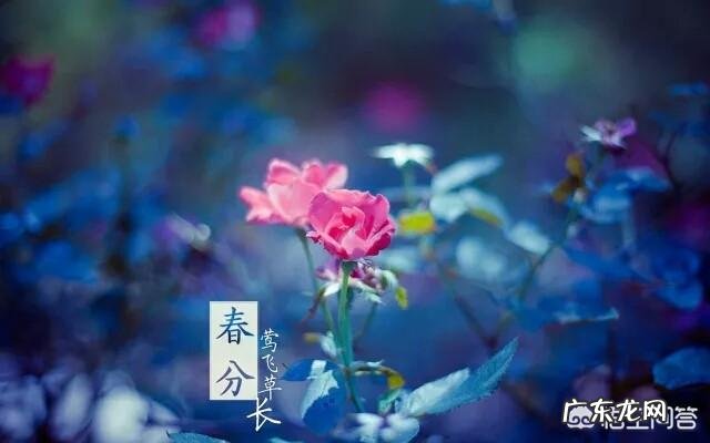 有什么关于春分的文章吗？