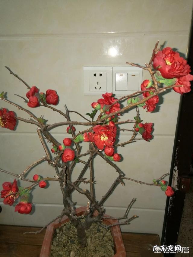 有什么关于春分的文章吗？