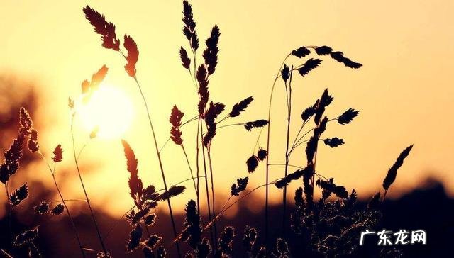 有什么关于春分的文章吗?